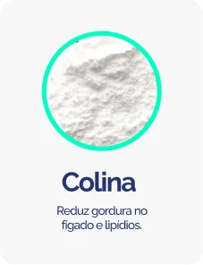 Colina-1