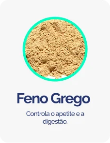 Feno-Grego-1