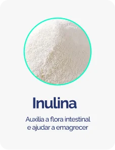 INULINA-1