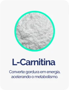L-CARTININA